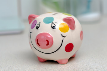 piggy bank in colorful polka dots