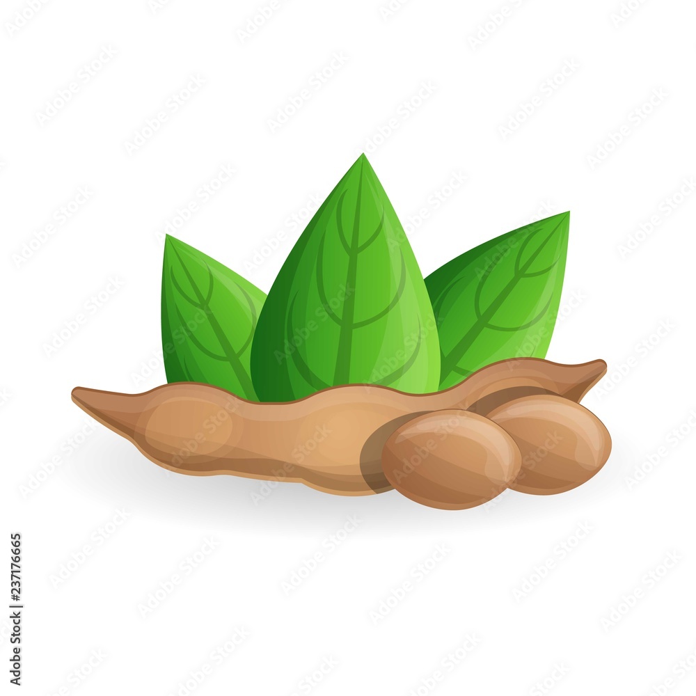 Poster soybean icon. cartoon of soybean vector icon for web design isolated on white background
