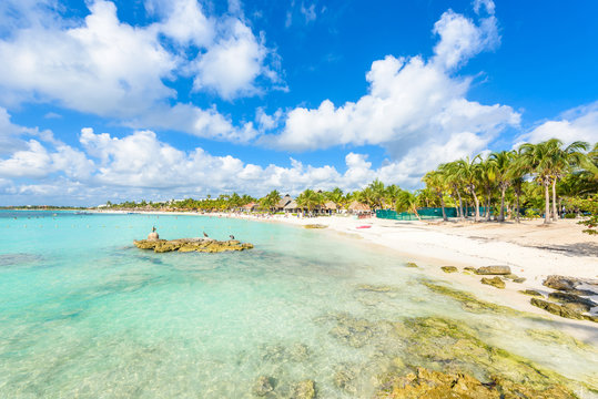 Riviera Maya - paradise beach Akumal at Cancun, Quintana Roo, Mexico - Caribbean coast - tropical destination for vacation