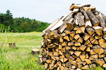 Wooden firewood stuked on a green grass