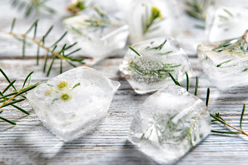 Plants frozen in ice cubes on light wooden background