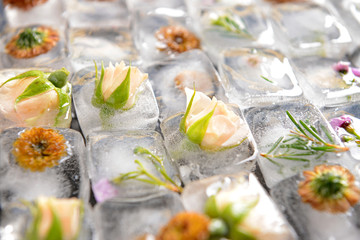 Beautiful flowers frozen in ice cubes, closeup