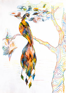 Heat Bird on a tree branch. Drawing with colored pencils.