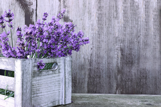 Fototapeta Lawenda kwitnie w pudełku na drewnianym tle