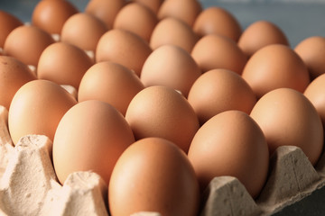 Raw chicken eggs in carton pack, closeup