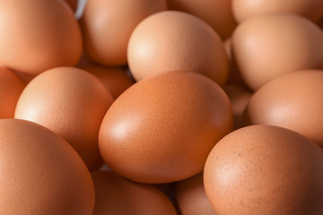 Raw chicken eggs, closeup