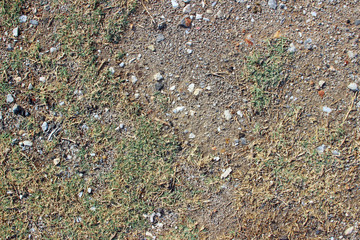 Dirt ground grass stones detail