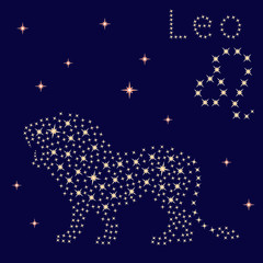 Obraz na płótnie Canvas Zodiac sign Leo on the starry sky