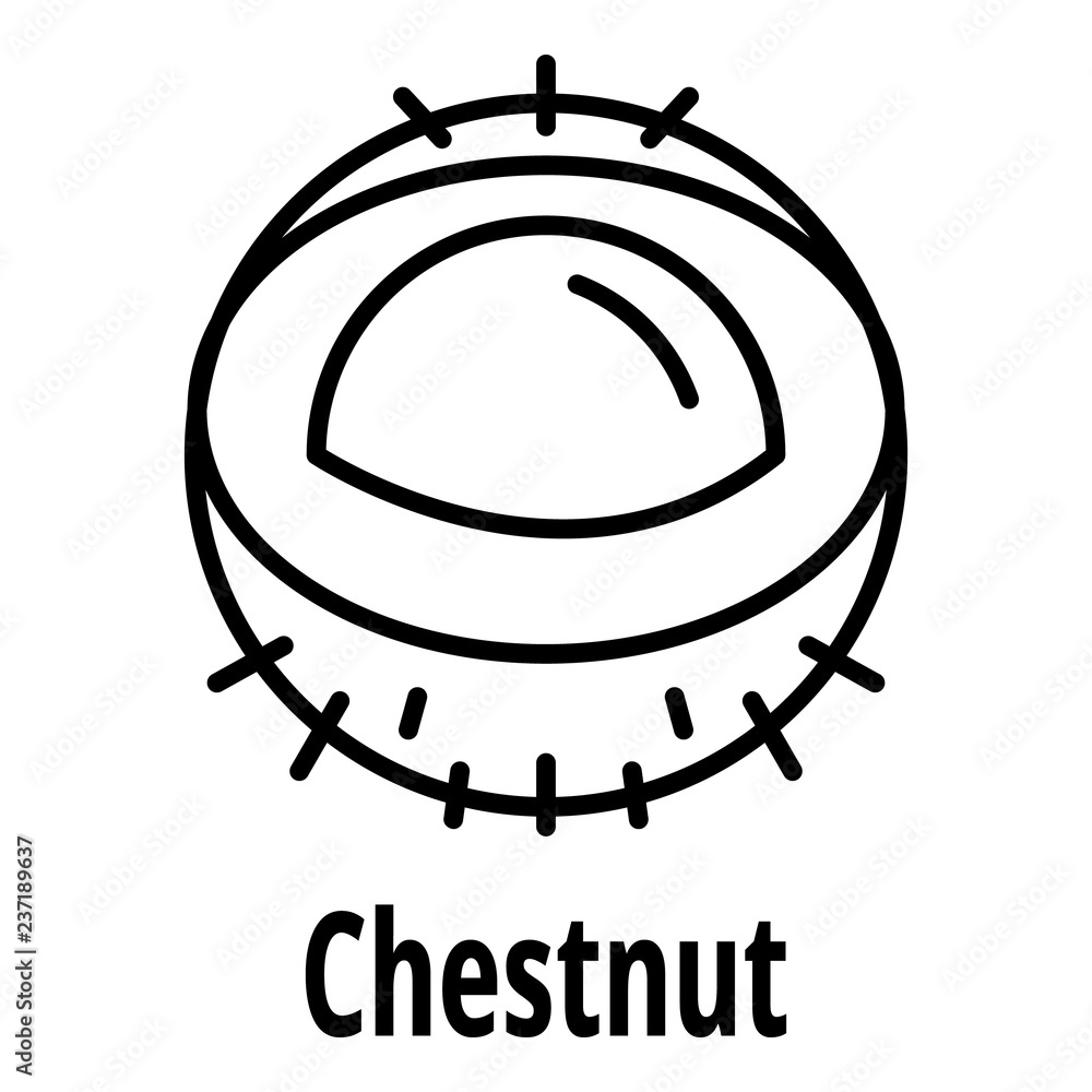 Poster chestnut icon. outline chestnut vector icon for web design isolated on white background