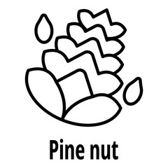 Pine nut icon. Outline pine nut vector icon for web design isolated on white background