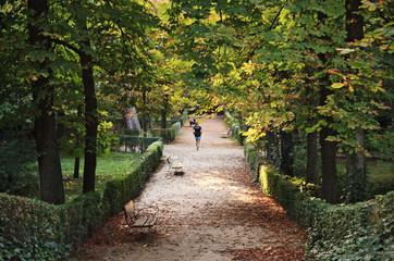 Park with autumn start trees