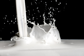 Splash of milk on grey background