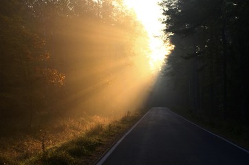 Jesień_2018 © Krzysiek Cegiełka