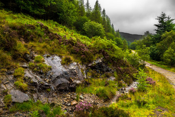 Fototapeta na wymiar Hiking Trail Through Scenic Forest Landscape On The Isle Of Skye In Scotland