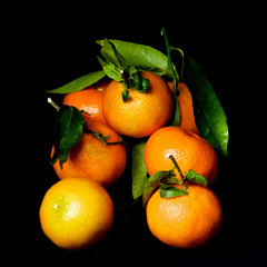 Ripe Tangerines with Leafs