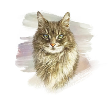 Cute fluffy cat. Watercolor portrait of a kitten. Drawing of a cat with green eyes executed in watercolor. Good for print on T-shirt. Art background, banner for pet shop. Hand painted illustration.