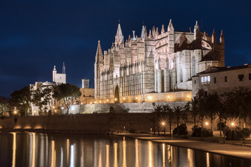 Fototapeta na wymiar Catedral de Palma de noche