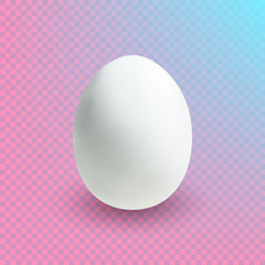 Egg with white eggshell and nice shadow isolated on colorful transparent background. Easter, new life symbol.