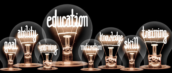 Light Bulbs Concept