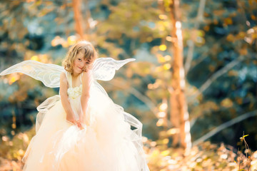 Fairy tale consept. Little toddler girl wearing beautiful princess dress with fairy wings © Alinsa