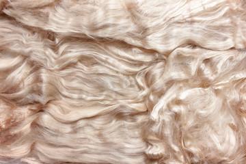 Background with texture of light wool curls