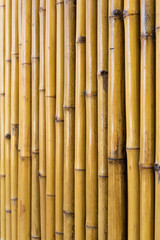 Fototapeta premium Bamboo fence background