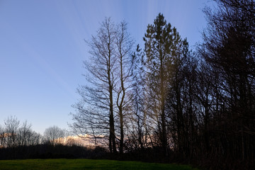 The Tail End of Scotlands Autumnal Seasonas the sun goes down late afternoon.