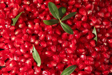 Juicy pomegranate seeds as background