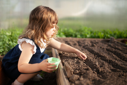 When a child plants a seed, waters it, and waits patiently for it to sprout, they’re learning patience.