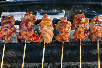 Grilled barbecue meat on skewers over fire with smoke cooking on a coal.Preparation of delicious appetizing giblet pork roasted on hot grill.Food,Healthy,Picnic Concept.