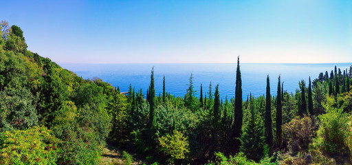 Black sea landscape with beautiful cypresses . Natural Botanical reserve Castel, Crimea. Panorama.