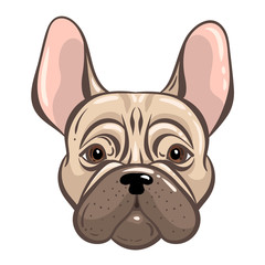 French bulldog vector tatoo style illustration