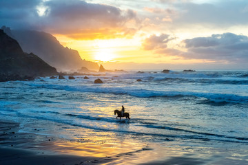 Man horse riding on sunset beach