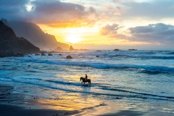 Fotobehang Man horse riding on sunset beach © Kotangens