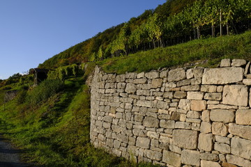 Weinberge und Mainaue im Abt-Degen-Weintal bei Ziegelanger, Landkreis Hassberge, Unterfranken, Franken, Bayern, Deutschland