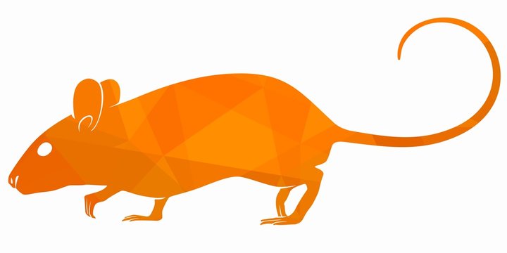 mouse illustration, vector draw