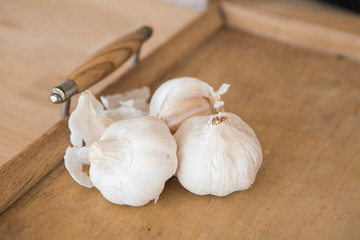 Garlic
