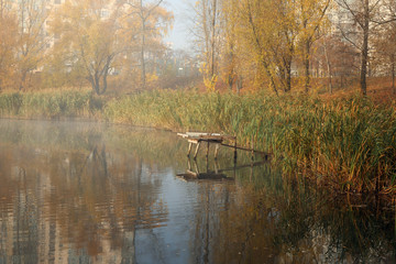 View of foggy pond in autumn morning