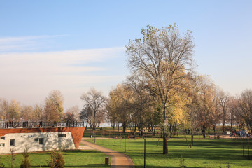 View of autumn park
