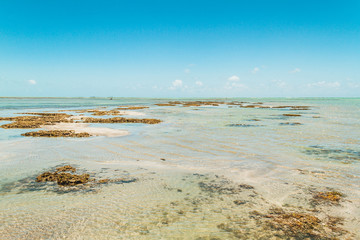 Beach north of Maceio, Brazil 