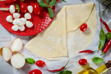 ingredients for the preparation of the pizza