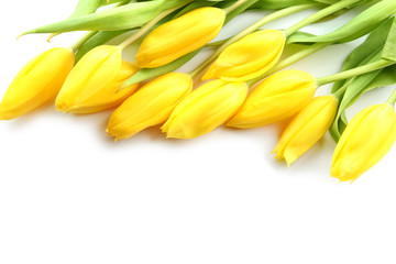 Beautiful tulips for Mother's Day on white background