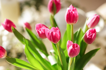Beautiful pink tulips, closeup
