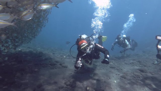 Group of scuba divers look at on massive school of Yellowstripe Scad - Selaroides leptolepis, Bali, Oceania, Indonesia