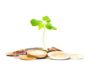 Coins isolated on white. Jewish charity concept photo. Tzedakah, translated like charity. A photo...