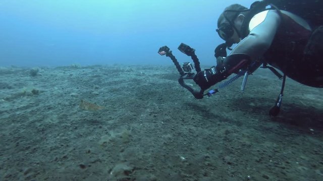 Scuba diver swim and stooting on action camera a Longhorn Cowfish over black volcanic sandy bottom. Horned Boxfish or Longhorn Cowfish - Lactoria cornuta, Bali, Oceania, Indonesia