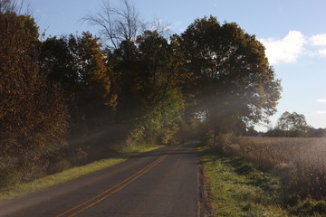 Naklejka premium country road