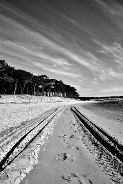 Black and White