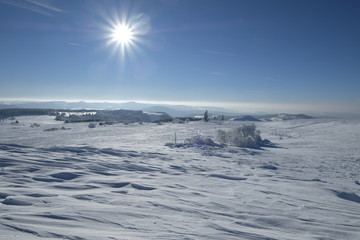 Obraz premium Die Wasserkuppe in der Rhön im Winter, Biosphärenreservat Rhön, Hessen, Deutschland