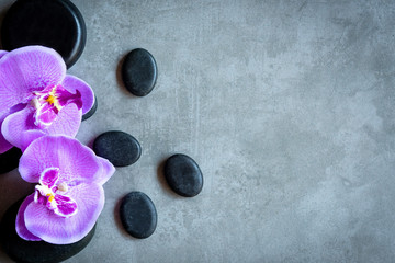Thai Spa.  Top view of hot stones setting for massage treatment and relax with purple orchid on blackboard with copy space.  Lifestyle and Healthy Concept..